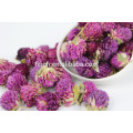 FT-004 Secado Gomphrena Globosa Té de hierbas perfumado al por mayor de la flor del sabor